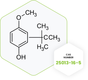 Butylated Hydroxy Anisole BHA Clean Science And Technology Limited